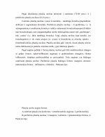 www.speros.lt